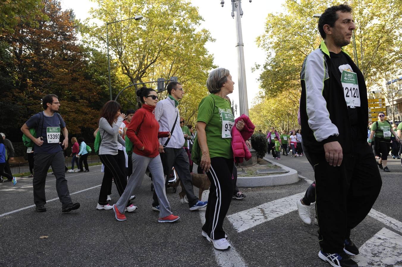 Marcha Contra el Cáncer 2015. Valladolid 14