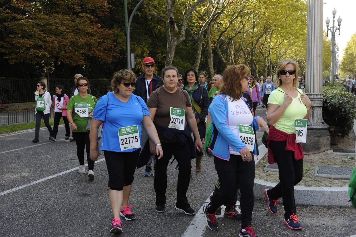 Marcha Contra el Cáncer 2015. Valladolid 15