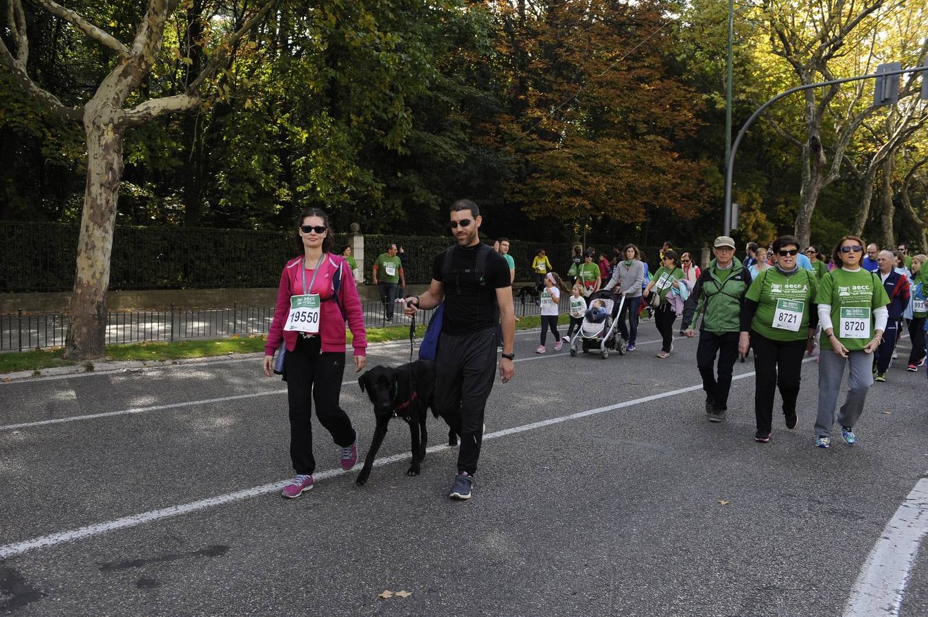 Marcha Contra el Cáncer 2015. Valladolid 15