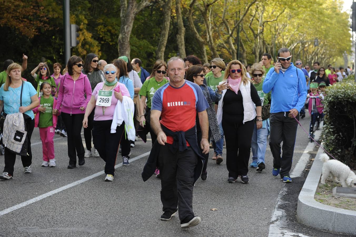 Marcha Contra el Cáncer 2015. Valladolid 16