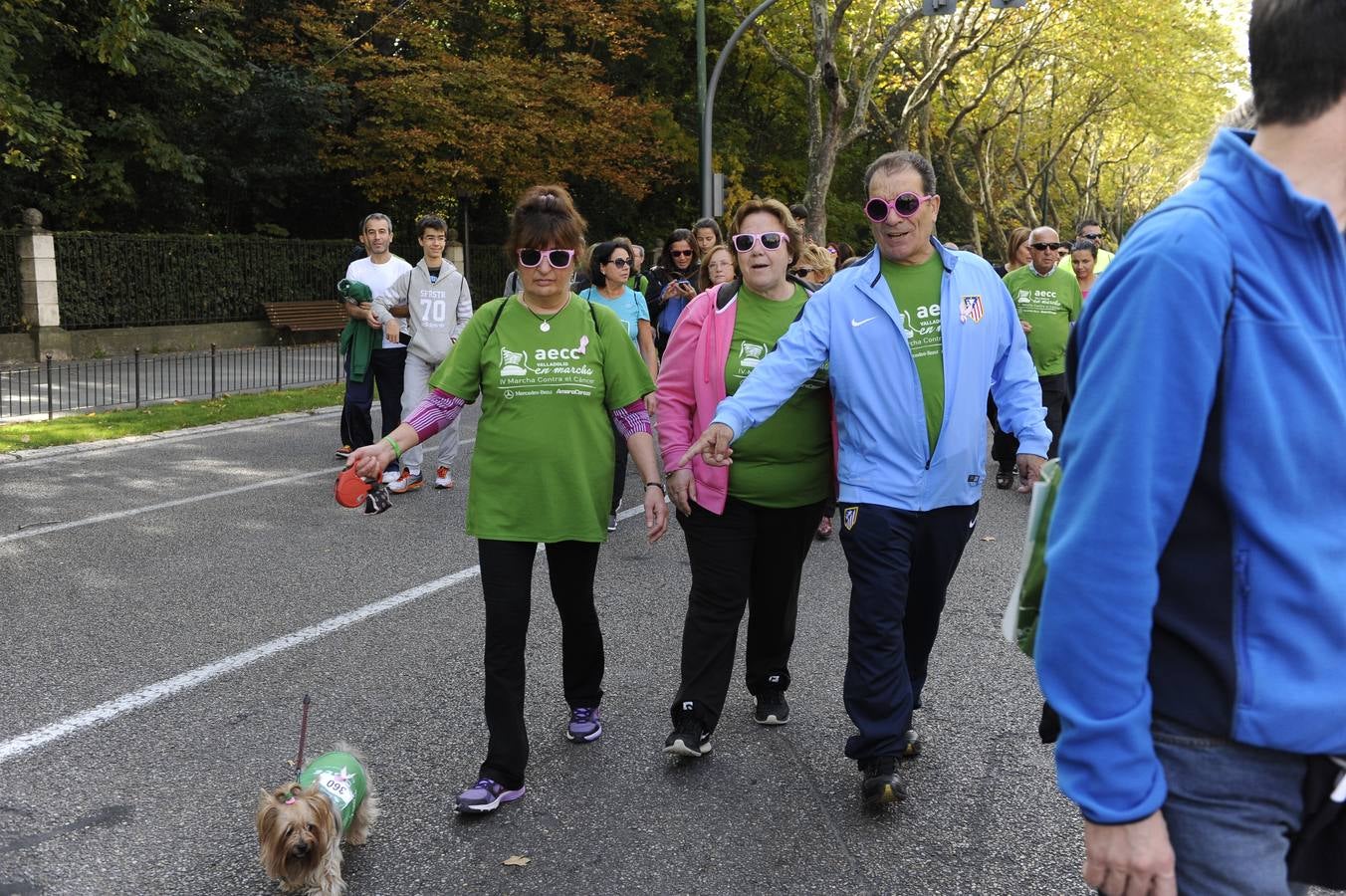 Marcha Contra el Cáncer 2015. Valladolid 16