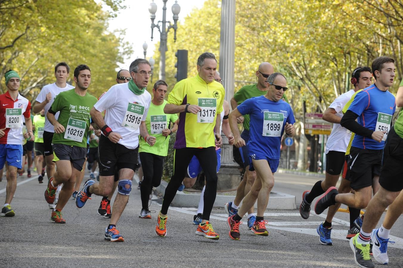 Marcha Contra el Cáncer 2015. Valladolid 17