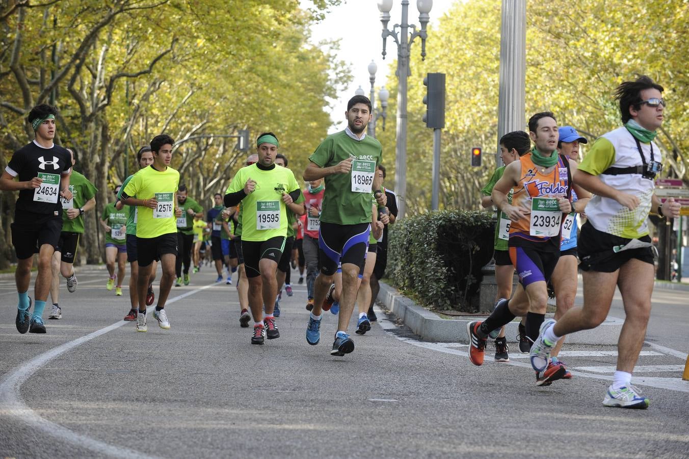 Marcha Contra el Cáncer 2015. Valladolid 17