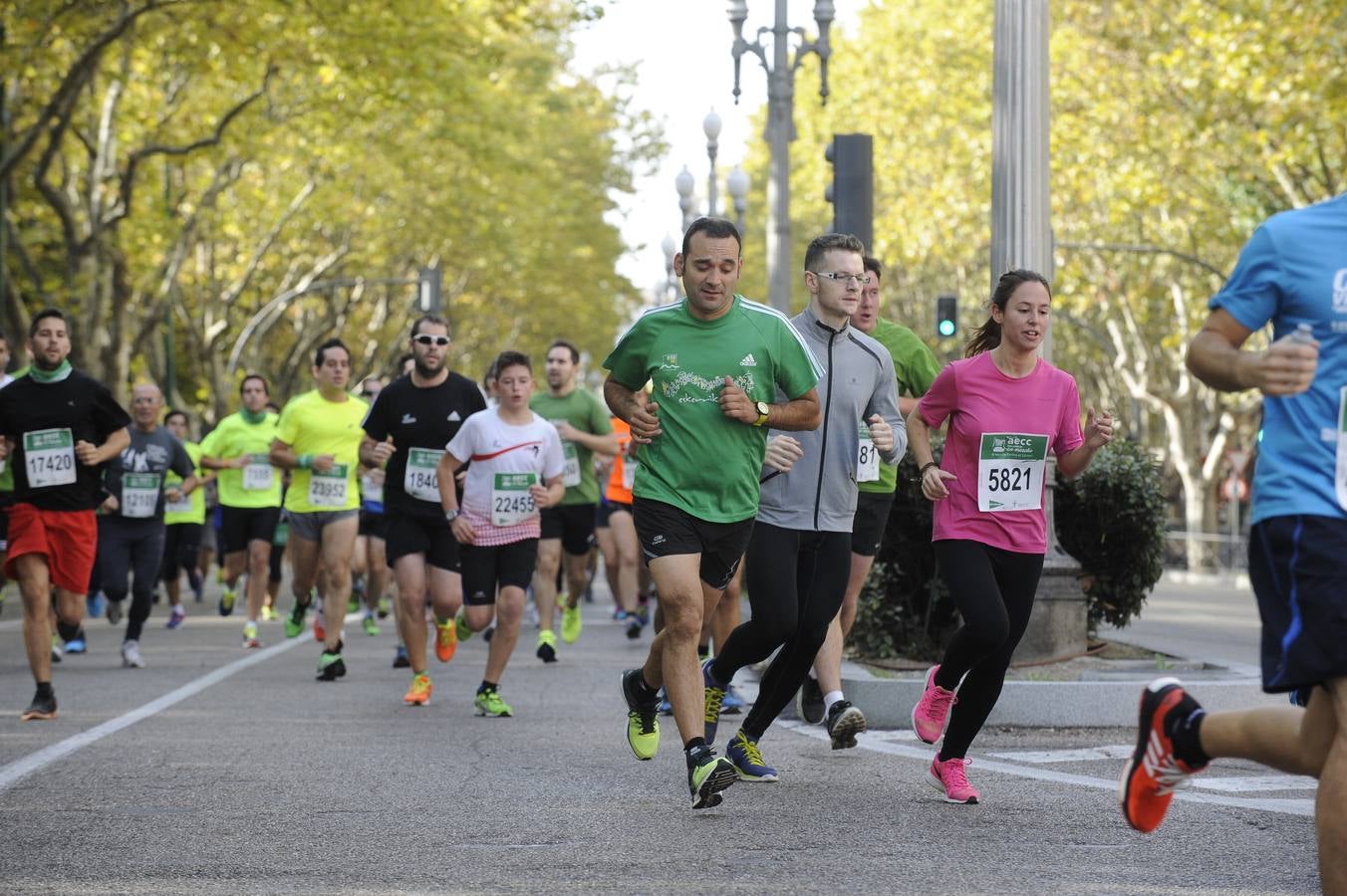 Marcha Contra el Cáncer 2015. Valladolid 17