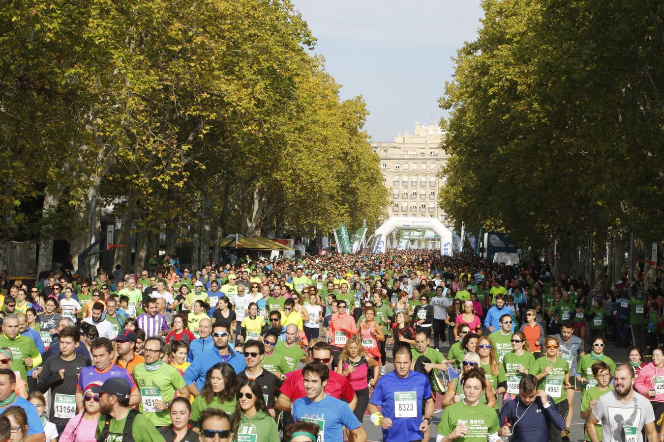 Marcha Contra el Cáncer 2015. Valladolid 21