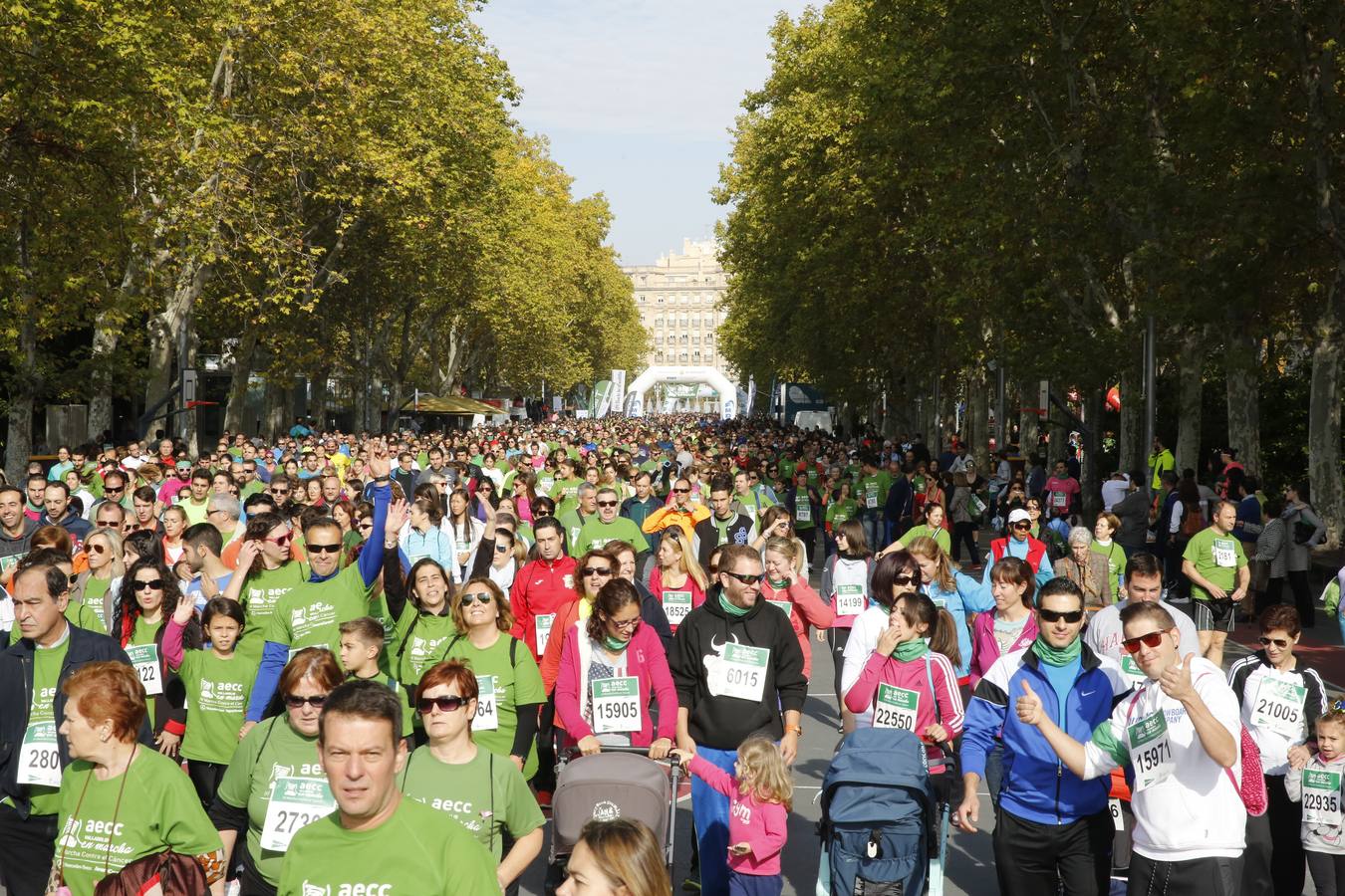 Marcha Contra el Cáncer 2015. Valladolid 21