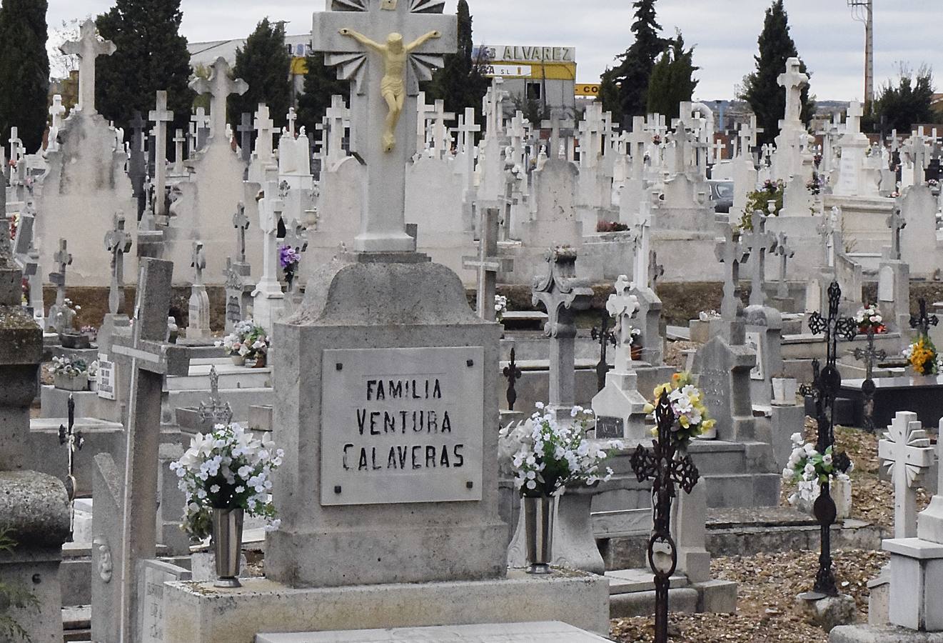 Preparativos para el Día de Todos los Santos en el cementerio de El Carmen de Valladolid