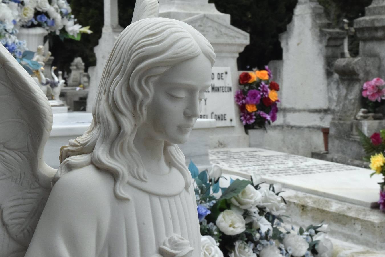 Preparativos para el Día de Todos los Santos en el cementerio de El Carmen de Valladolid