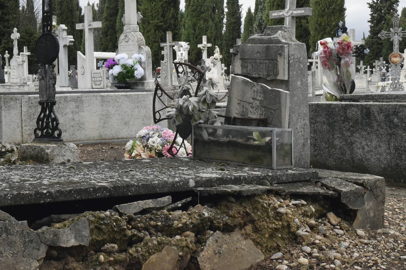 Preparativos para el Día de Todos los Santos en el cementerio de El Carmen de Valladolid