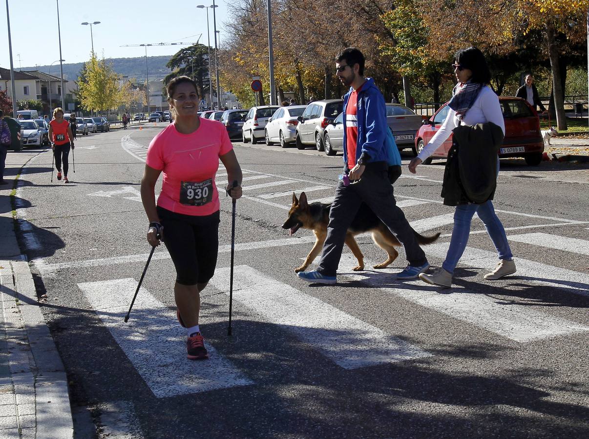 VI Media Maratón El Norte de Castilla Ciudad de Palencia (4/4)