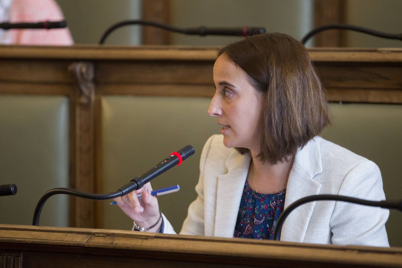 Pleno en el Ayuntamiento de Valladolid