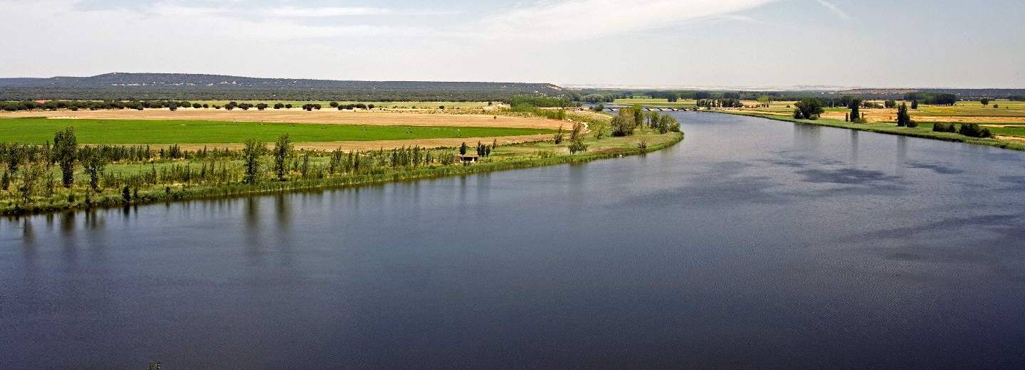Atardecer en la vega del Duero, en Castronuño (Valladolid).