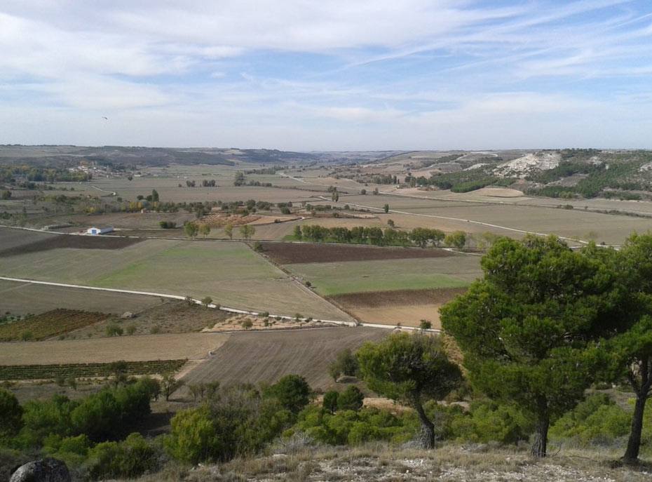Encinas de Esgueva (Valladolid).