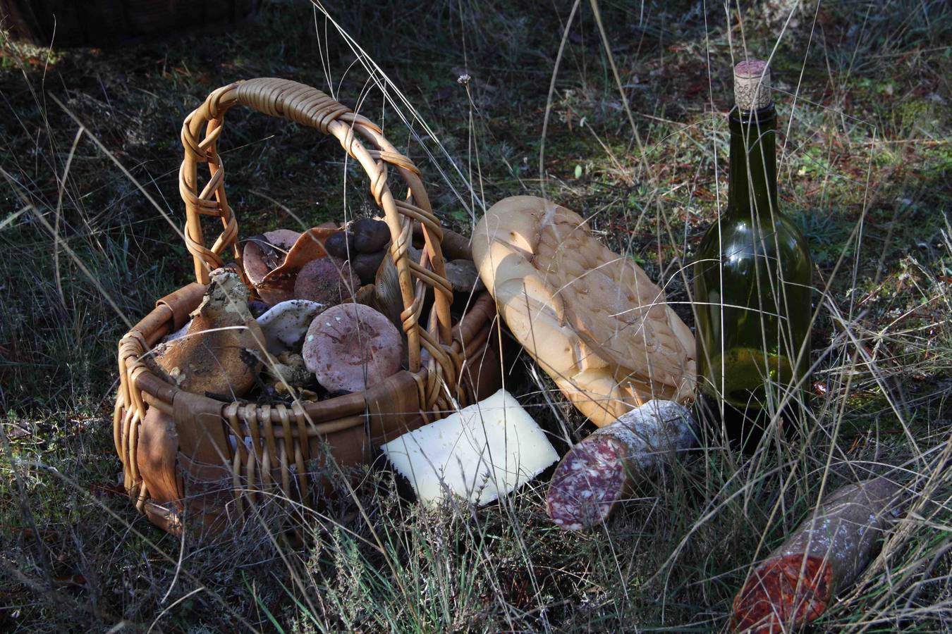 III Jornadas micológicas en Quintanilla de Onésimo (2/2)