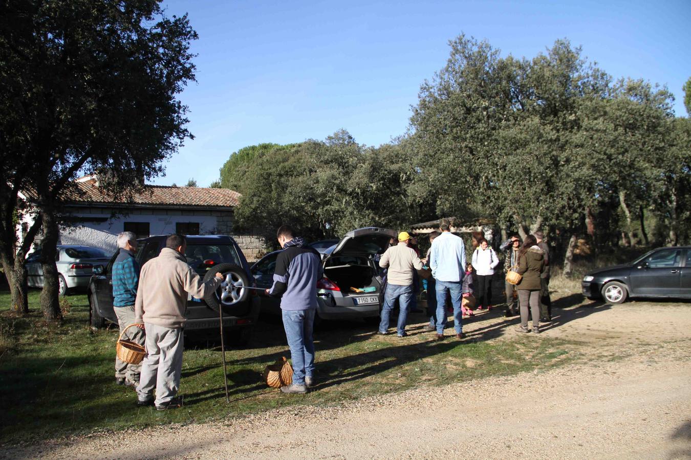 III Jornadas micológicas en Quintanilla de Onésimo (1/2)