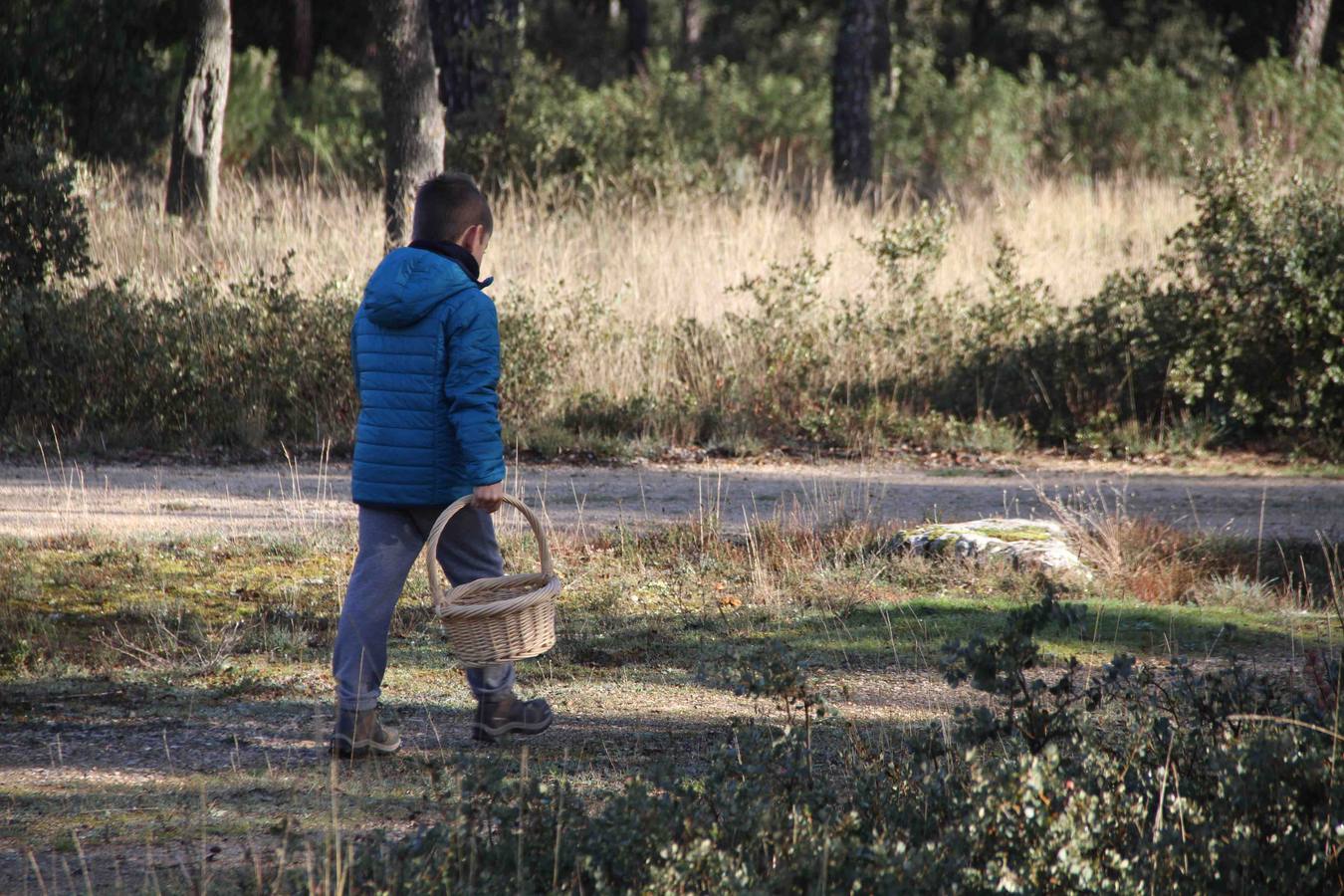 III Jornadas micológicas en Quintanilla de Onésimo (1/2)