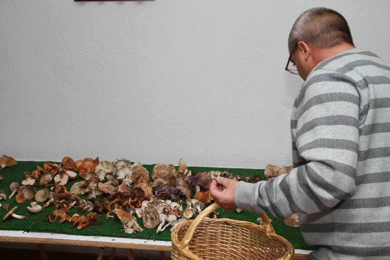 III Jornadas micológicas en Quintanilla de Onésimo (1/2)