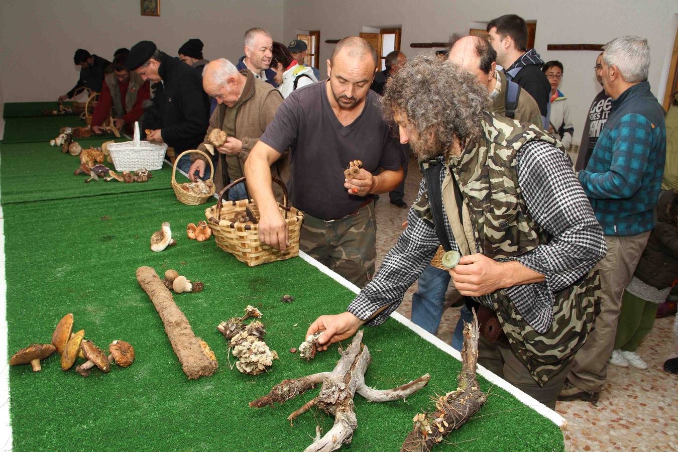 III Jornadas micológicas en Quintanilla de Onésimo (1/2)