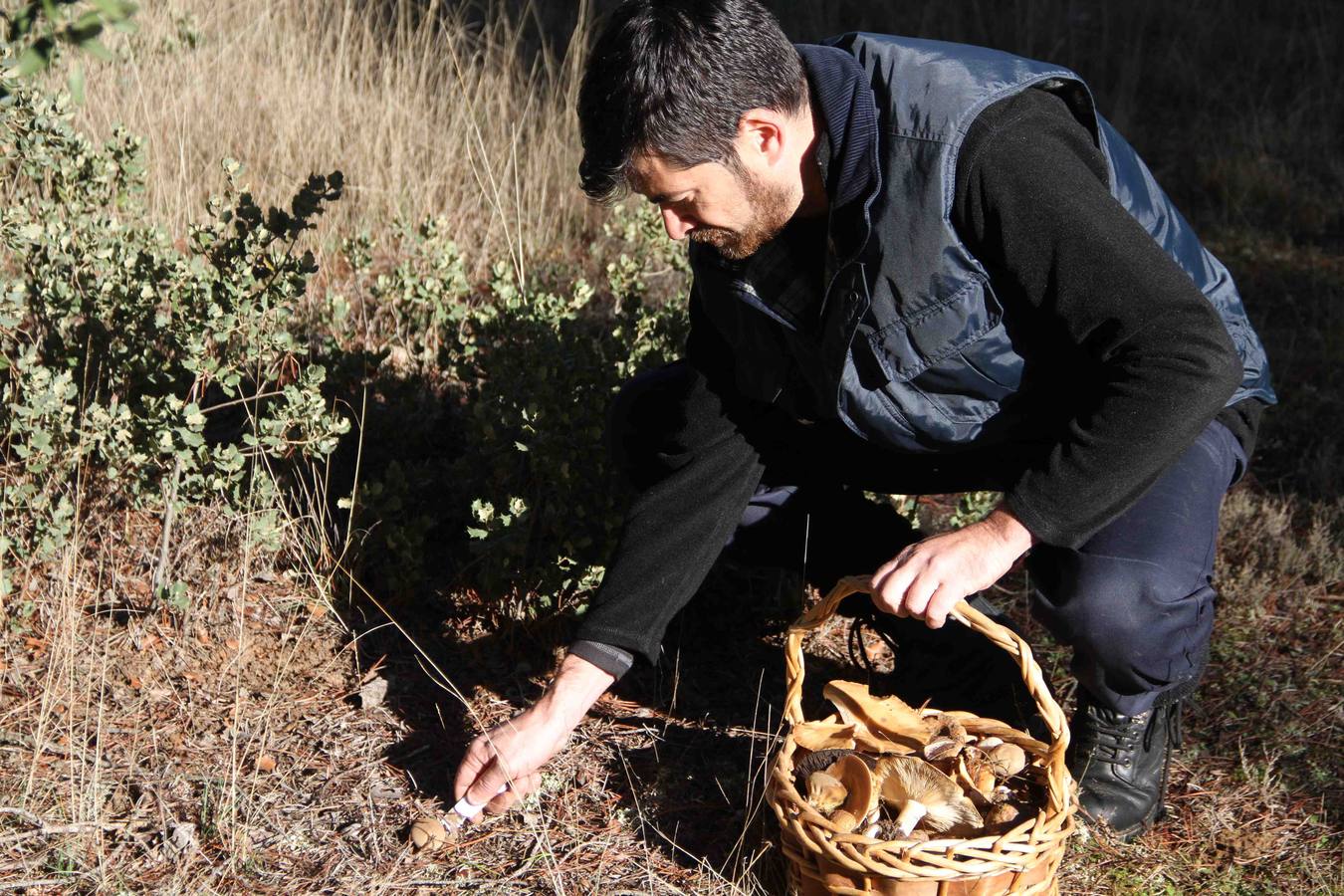 III Jornadas micológicas en Quintanilla de Onésimo (1/2)