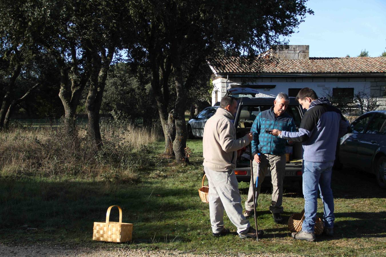 III Jornadas micológicas en Quintanilla de Onésimo (1/2)