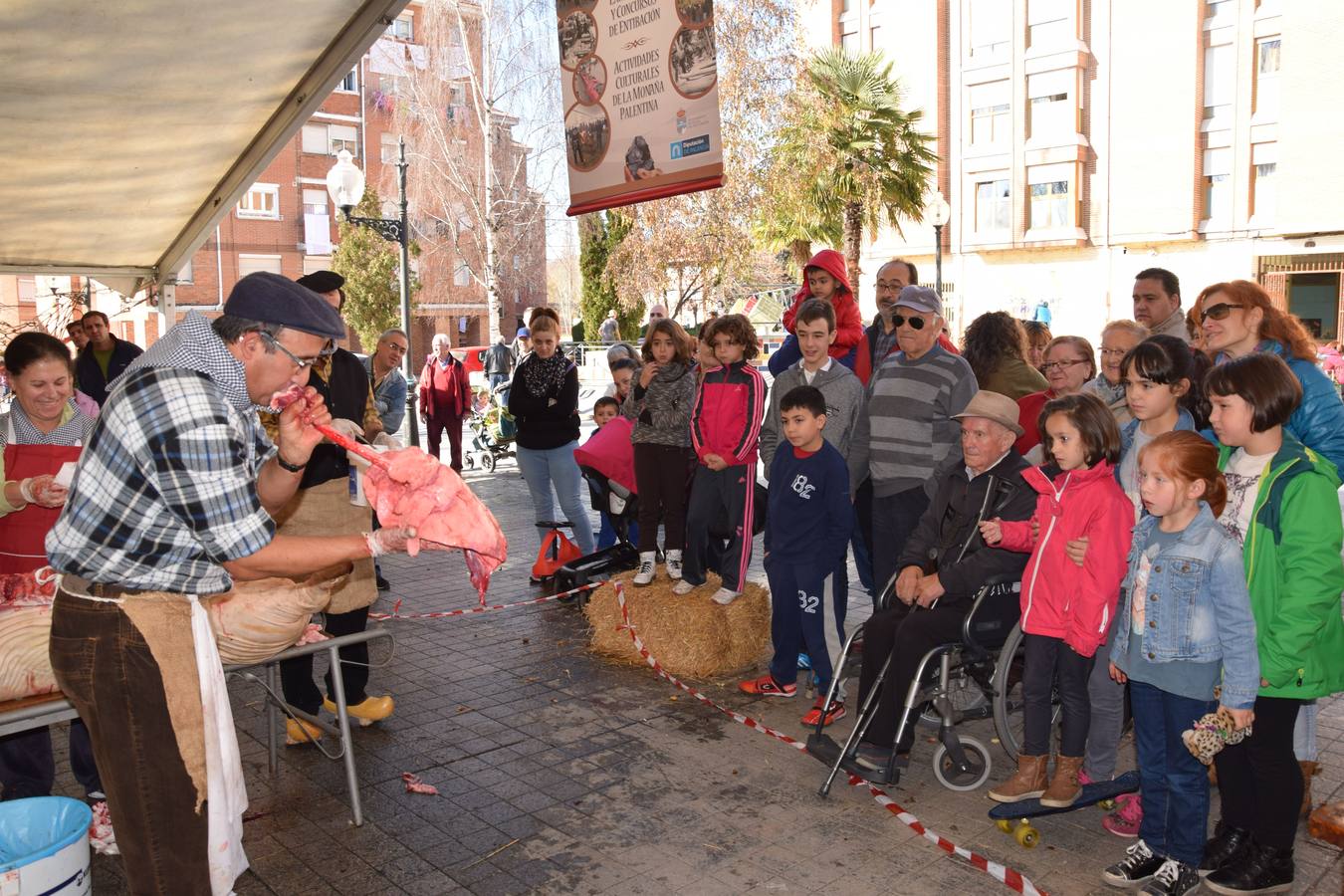 Fiesta de la matanza en Guardo (Palencia)