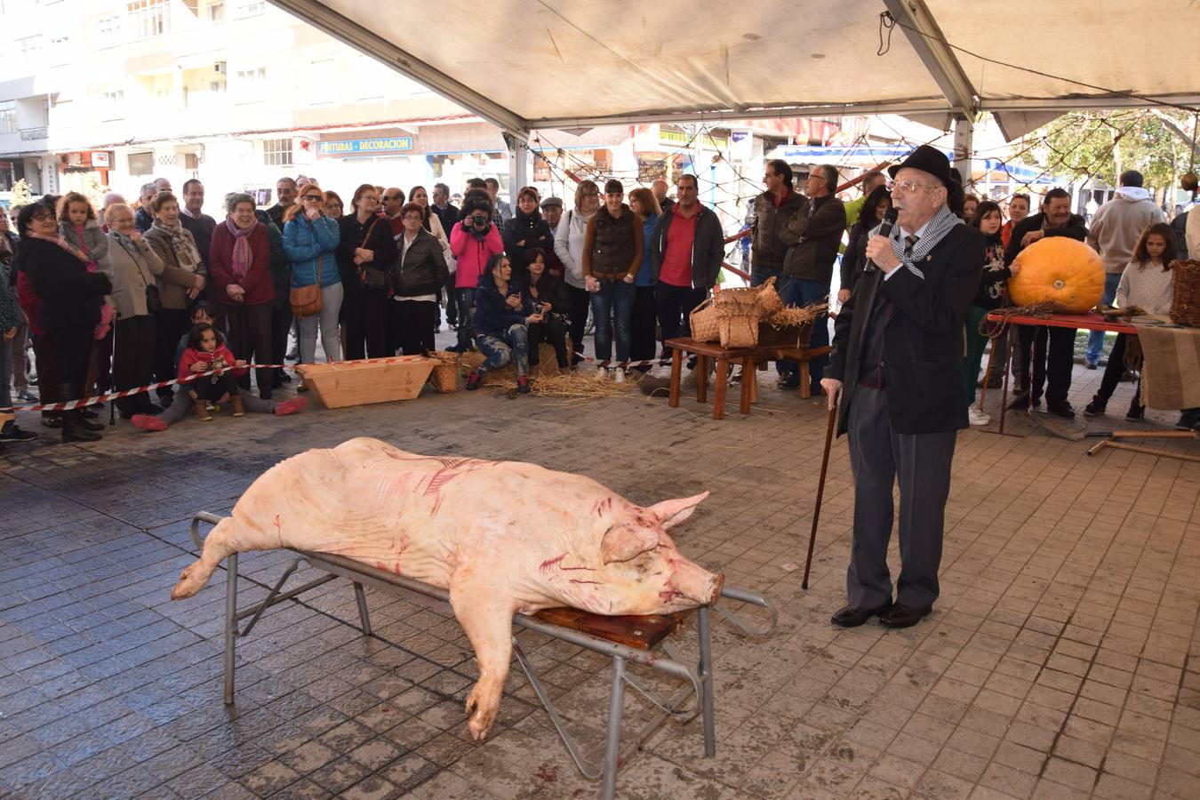 Fiesta de la matanza en Guardo (Palencia)