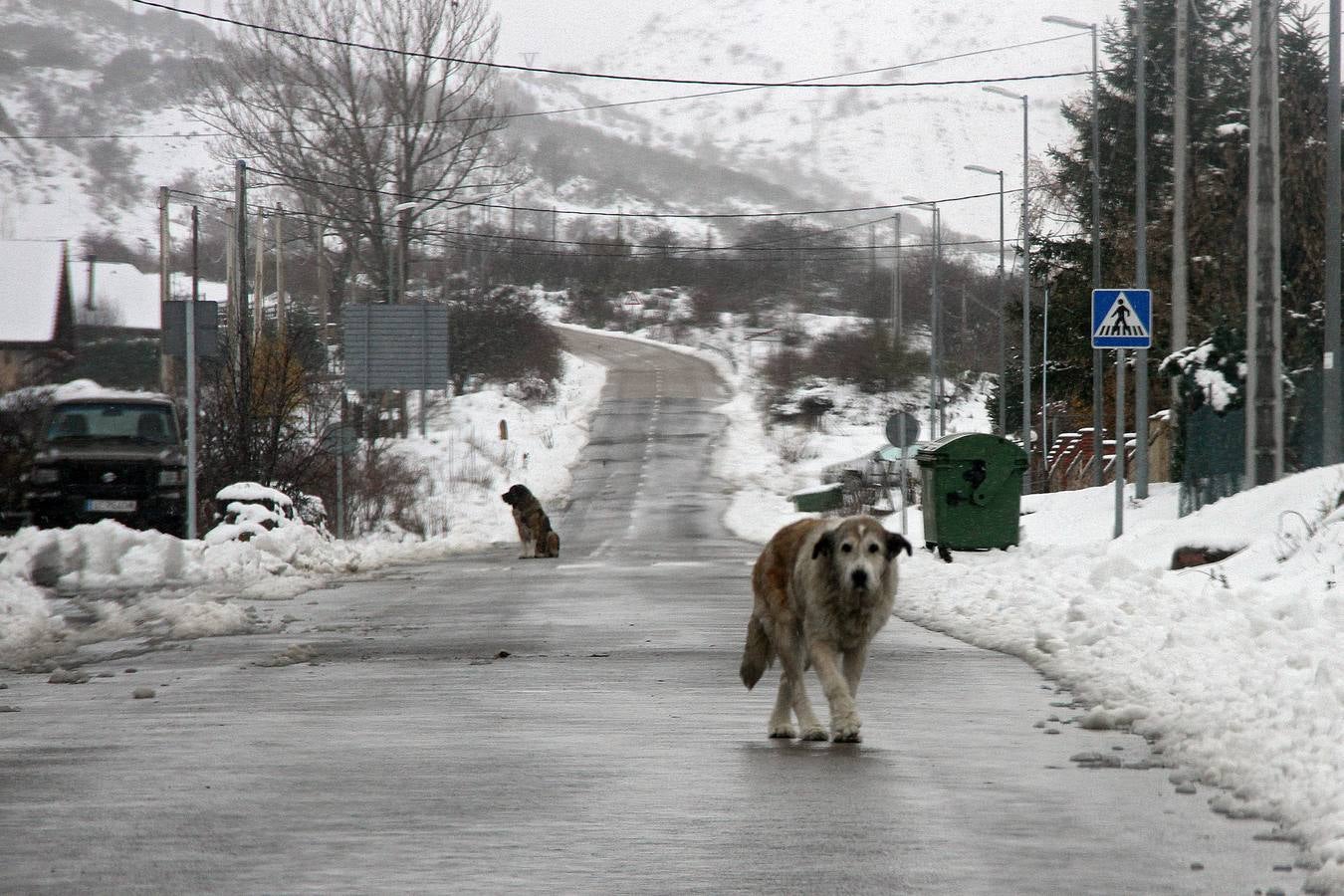 Nieve en Getino (León).