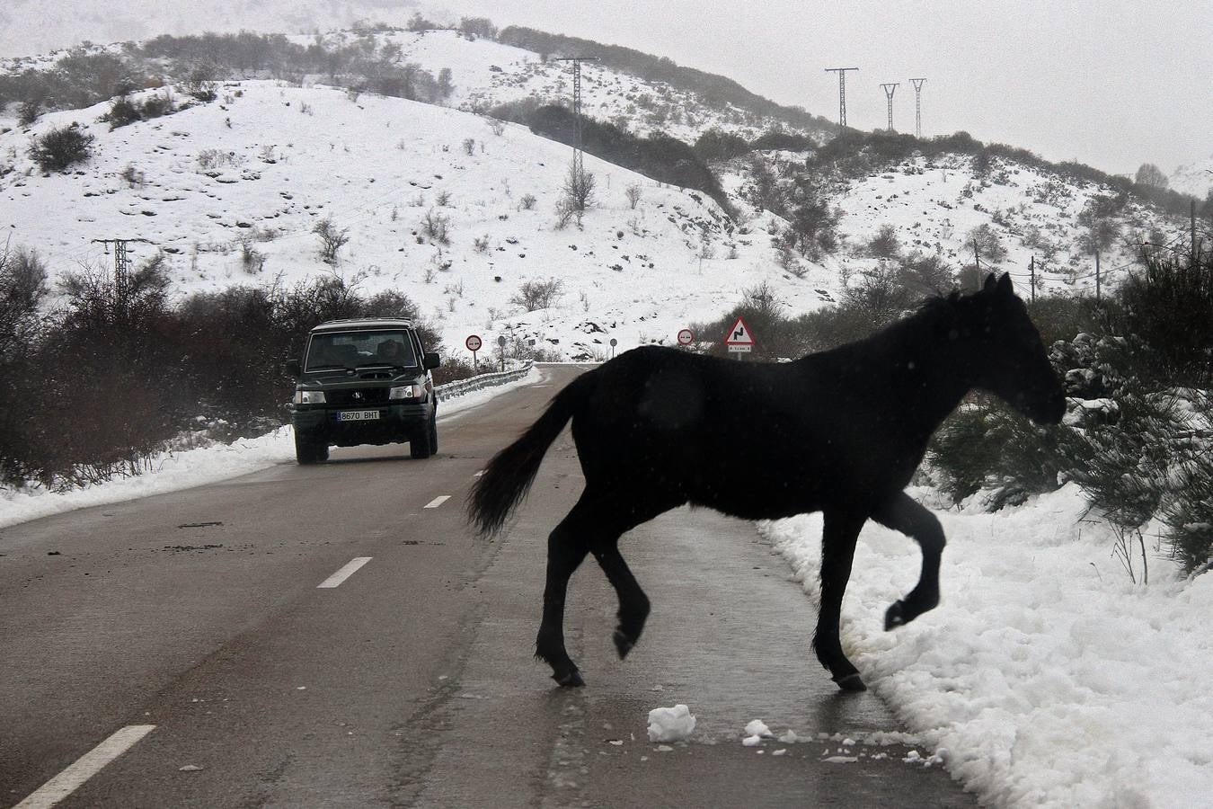 Nieve en Getino (León).