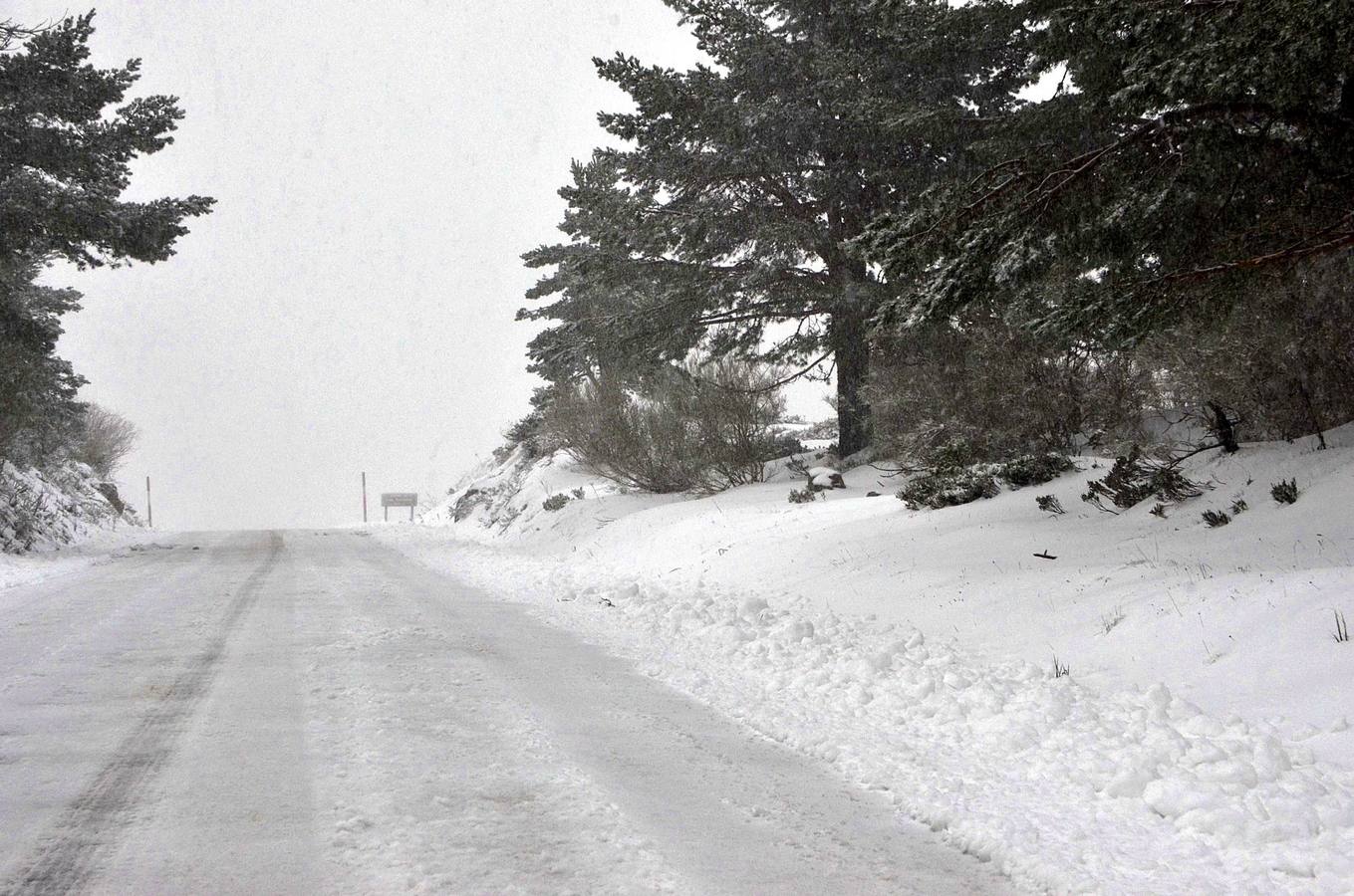 Nieve en el Puerto de las Señales (León).