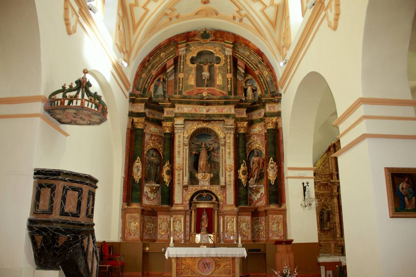 Los socios de la Cooperativa del Campo de Baltanás (Palencia) realizan una excursión por el Cerrato