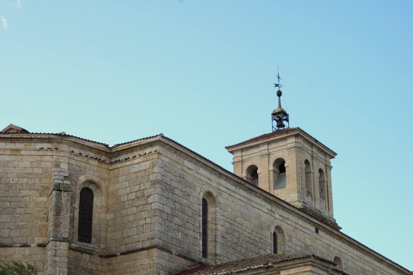Los socios de la Cooperativa del Campo de Baltanás (Palencia) realizan una excursión por el Cerrato