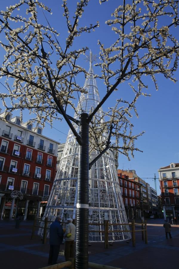 Valladolid se prepara para la llegada de la Navidad