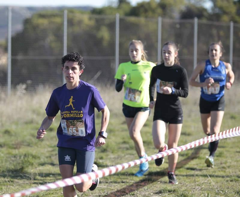 Cross de Dueñas 2015 (1/2)