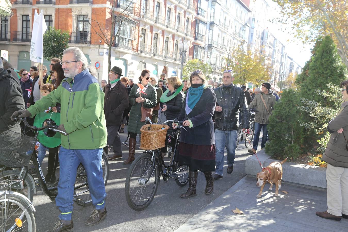 Marcha del clima 2015 en Valladolid