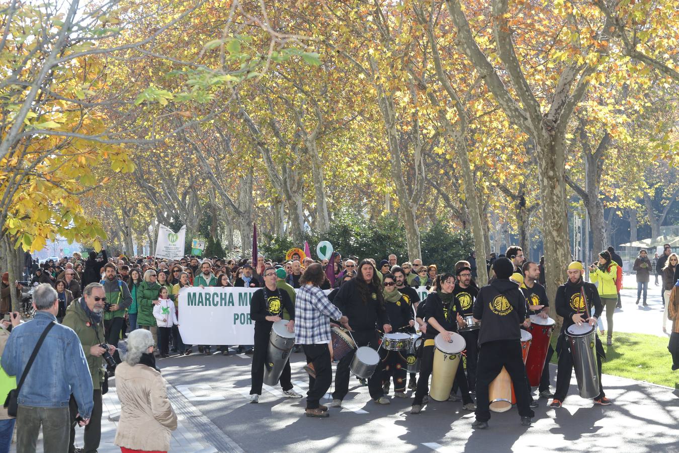 Marcha del clima 2015 en Valladolid