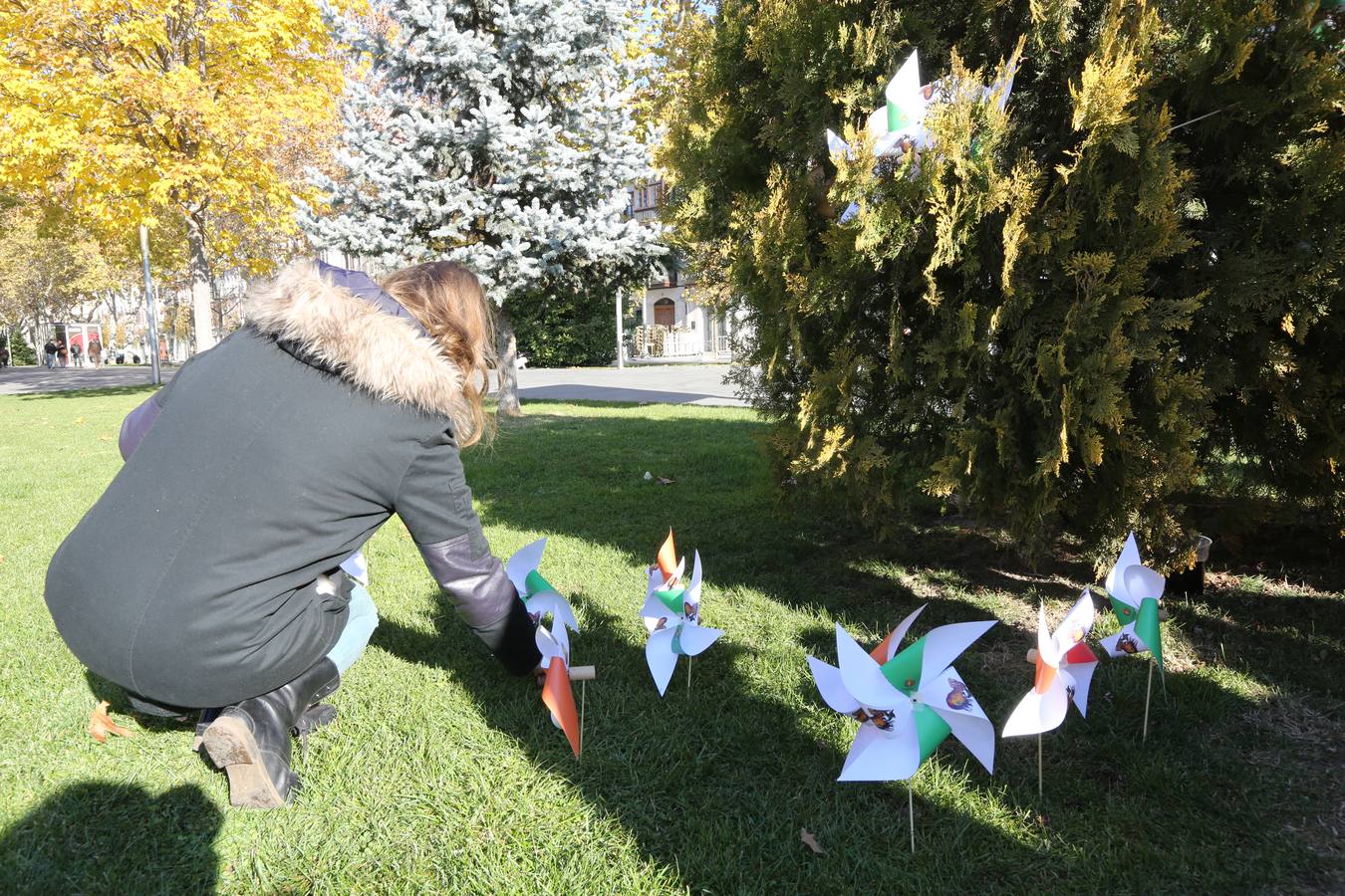 Marcha del clima 2015 en Valladolid