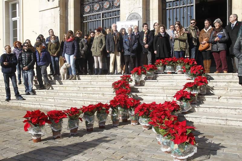 Celebración del Día Mundial del Sida en Palencia