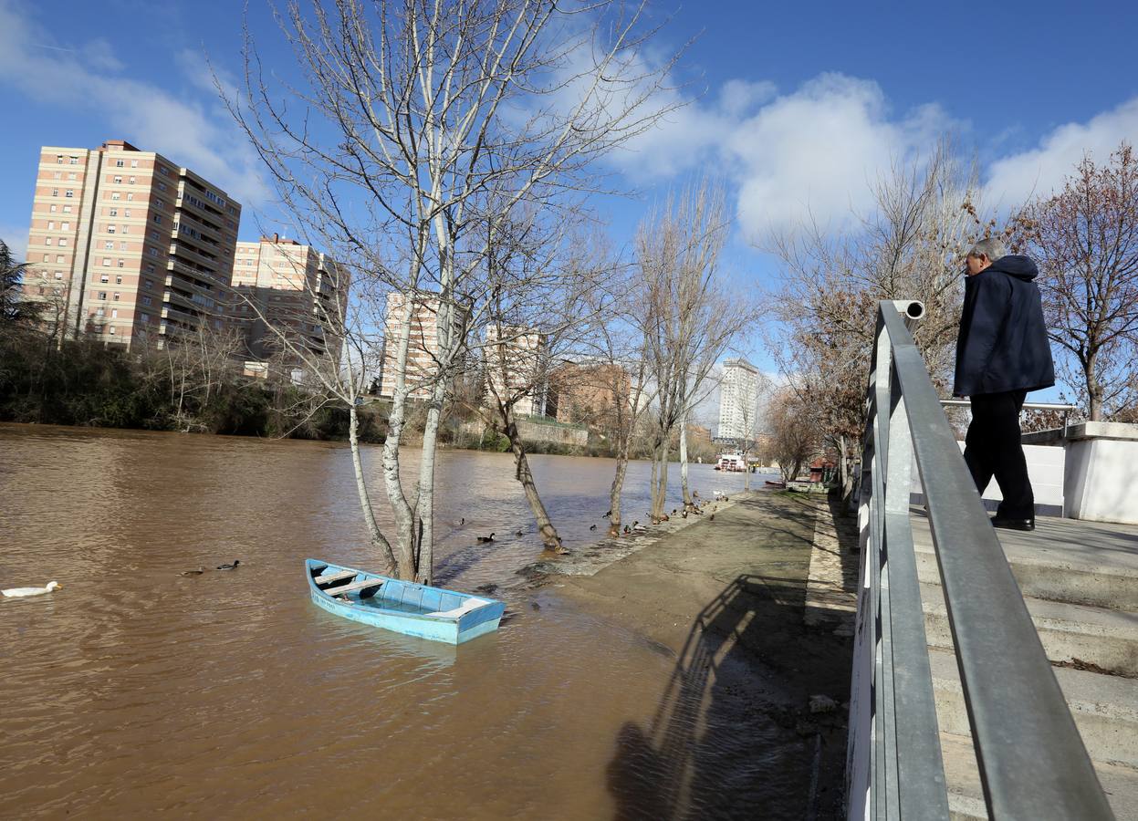 Crecida del río Pisuerga a su paso por Valladolid