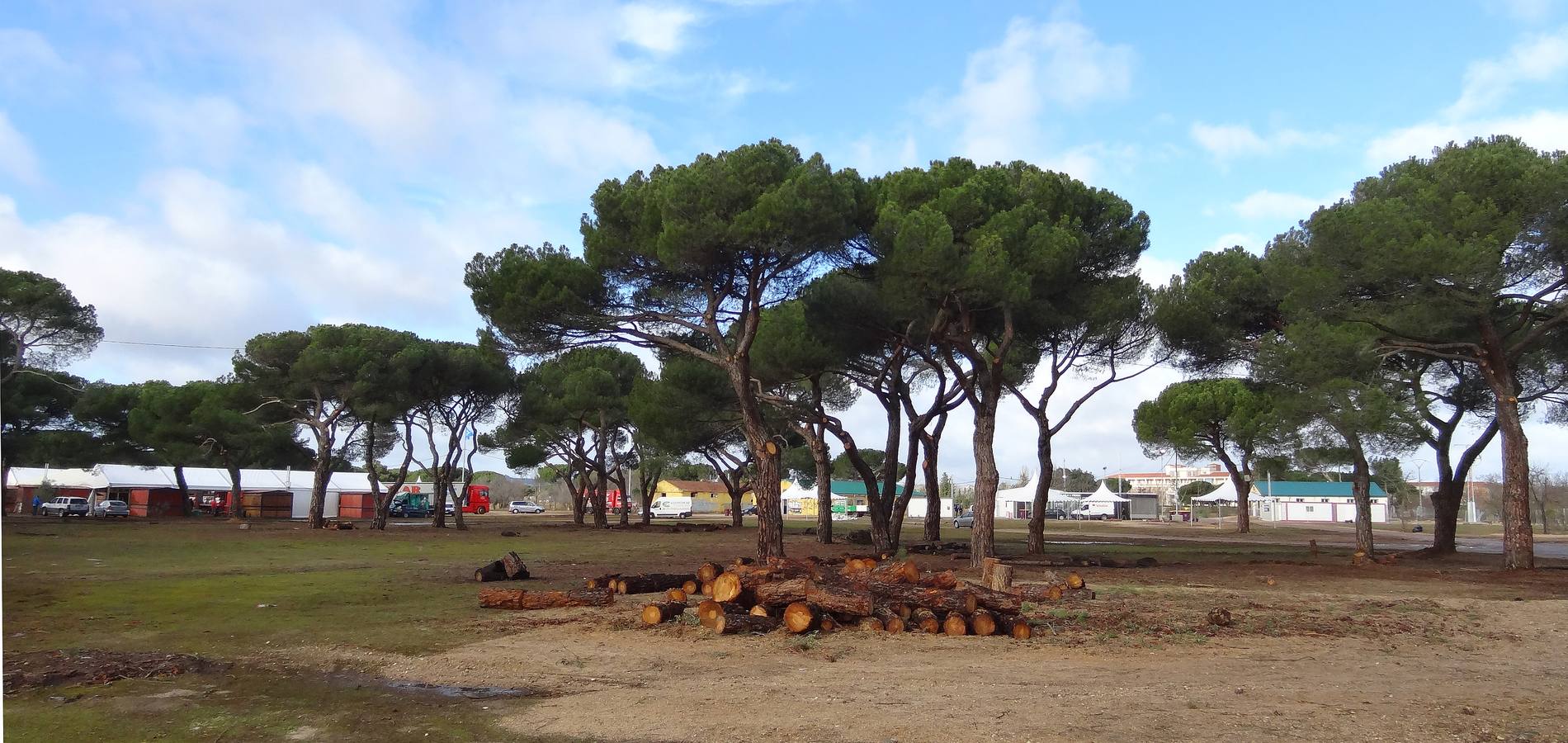 Tareas de limpieza de los terrenos de la antigua Hípica tras el paso de la Fiesta de la Moto