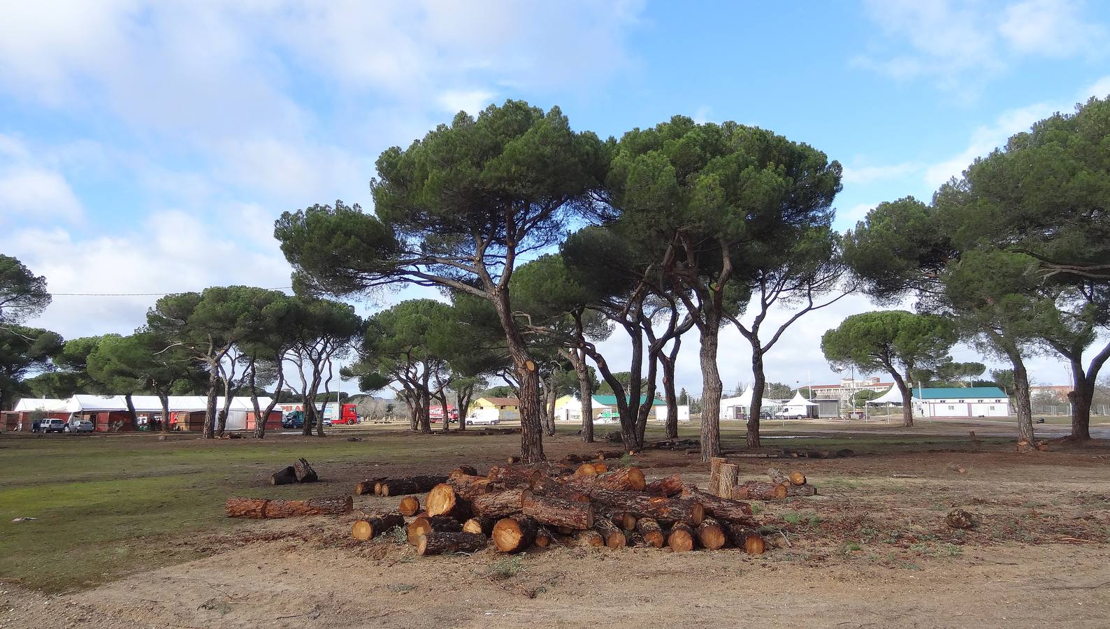 Tareas de limpieza de los terrenos de la antigua Hípica tras el paso de la Fiesta de la Moto