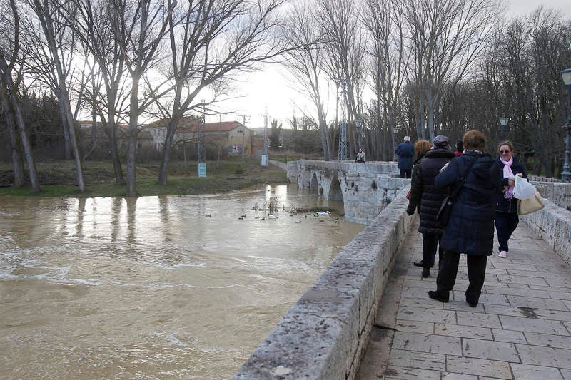 Crecida del río Carrión a su paso por Palencia