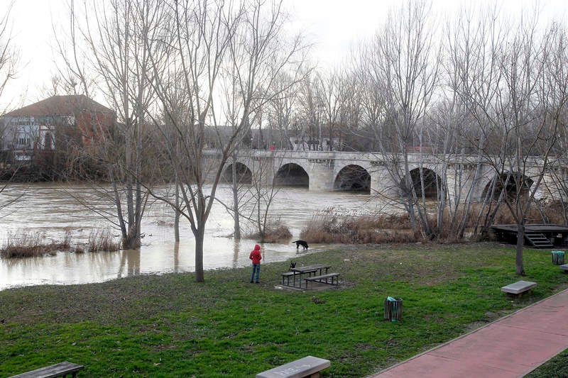 Crecida del río Carrión a su paso por Palencia