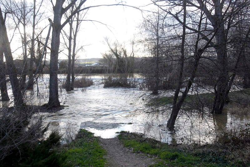Crecida del río Carrión a su paso por Palencia