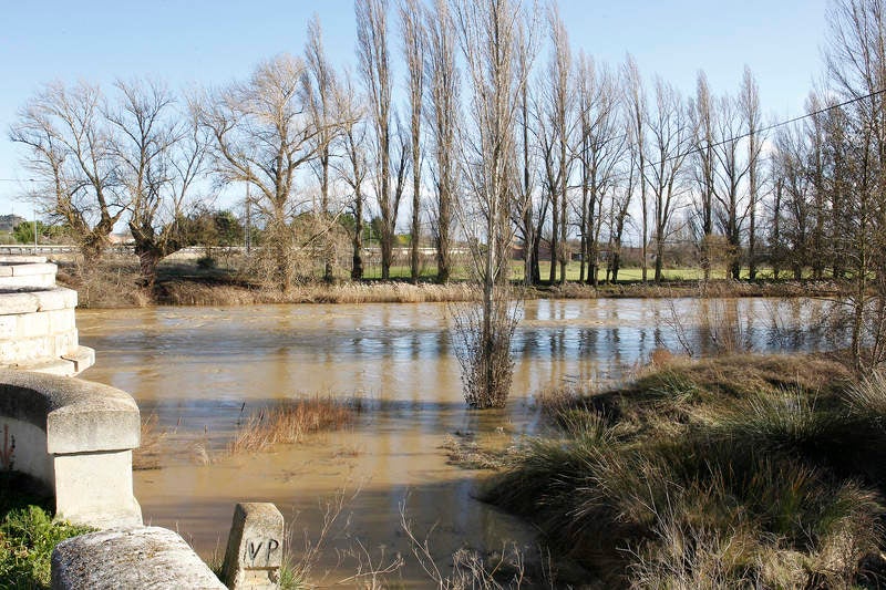 Crecida del río Carrión a su paso por Palencia