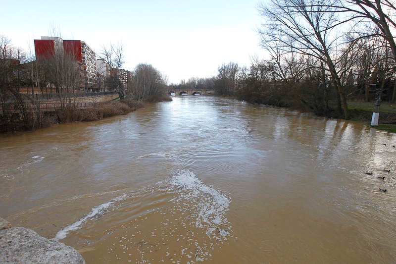 Crecida del río Carrión a su paso por Palencia