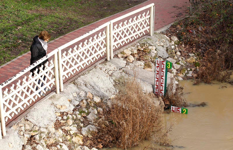 Crecida del río Carrión a su paso por Palencia