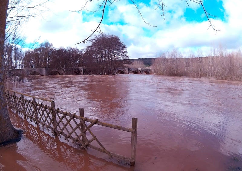 El río Arlanza a su paso por Quintana del Puente.