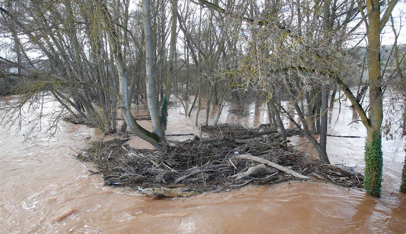 El río Arlanza a su paso por Quintana del Puente.
