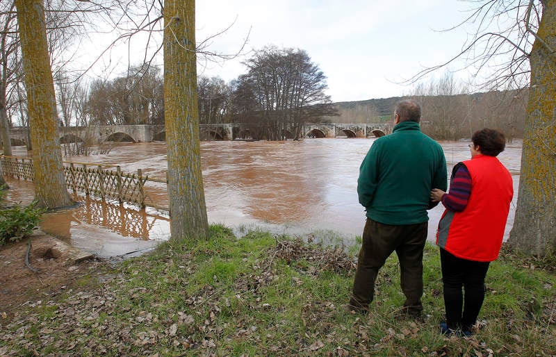 El río Arlanza a su paso por Quintana del Puente.