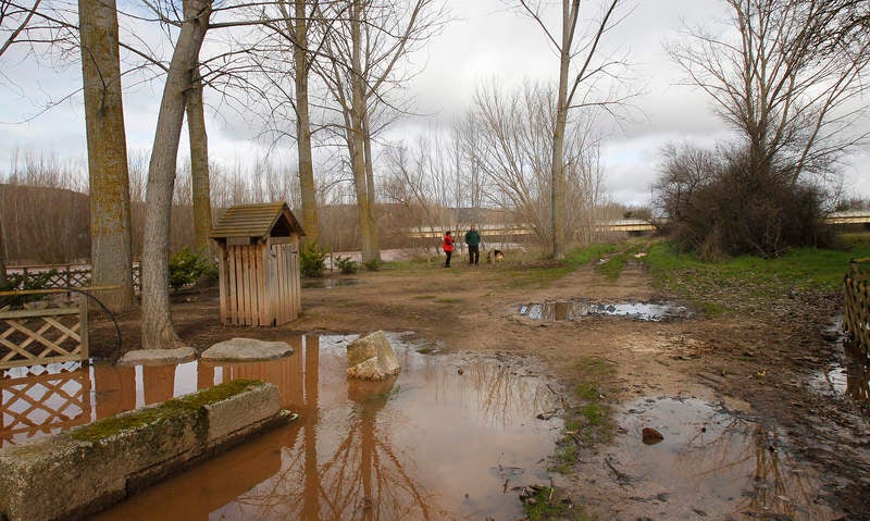 El río Arlanza a su paso por Quintana del Puente.